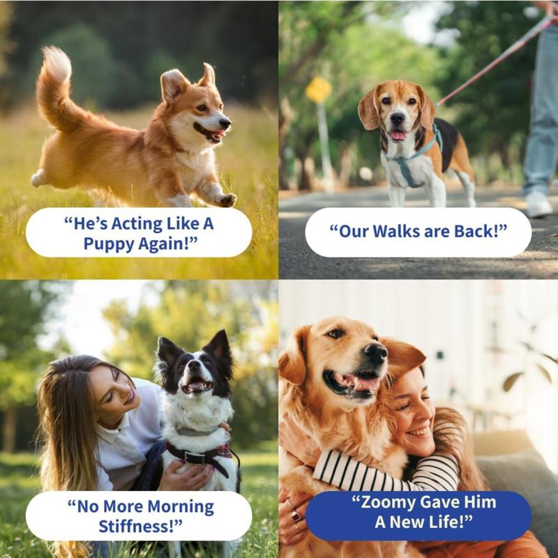 Solin Advanced Hip and Joint Support